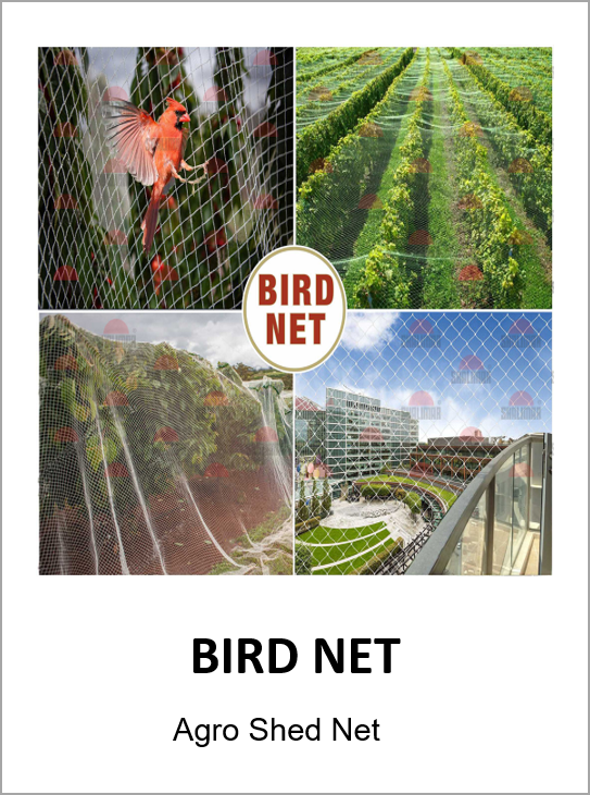 Bird Net