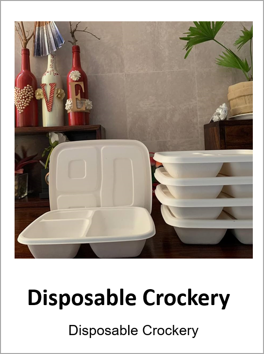 Disposable Crockery